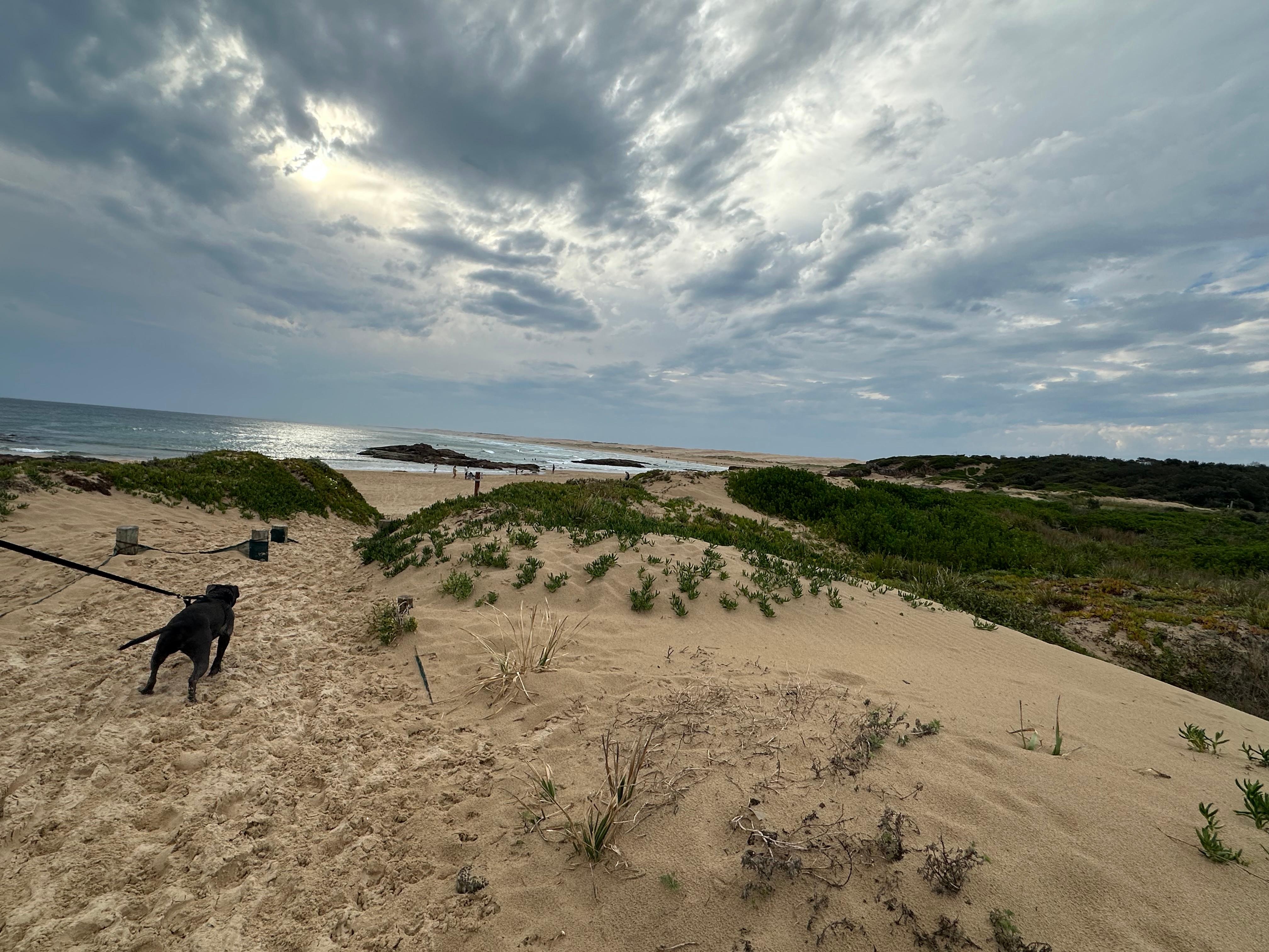 Max couldn’t  wait to go down to the water…