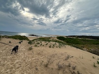 Max couldn’t wait to go down to the water…