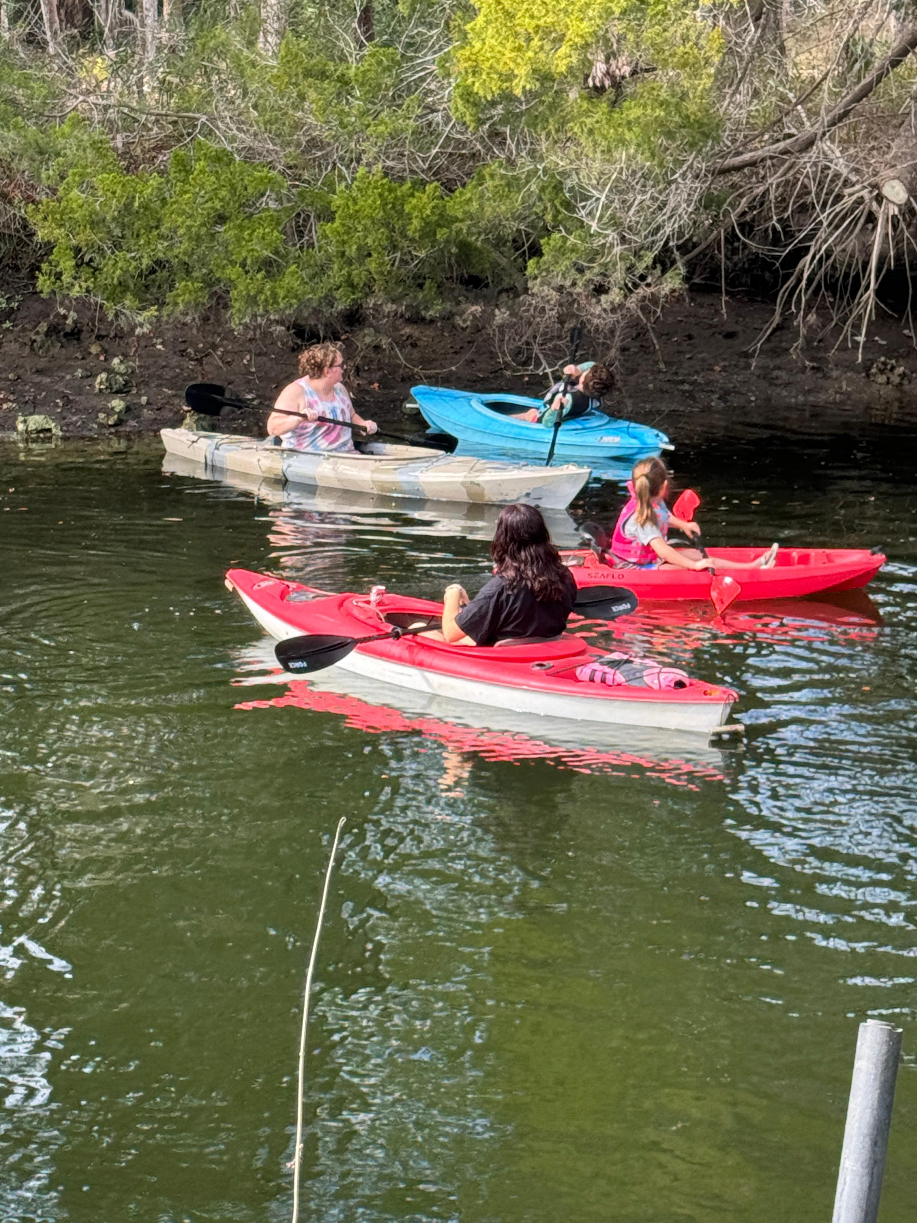 Family kayaking