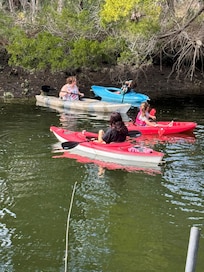 Family kayaking