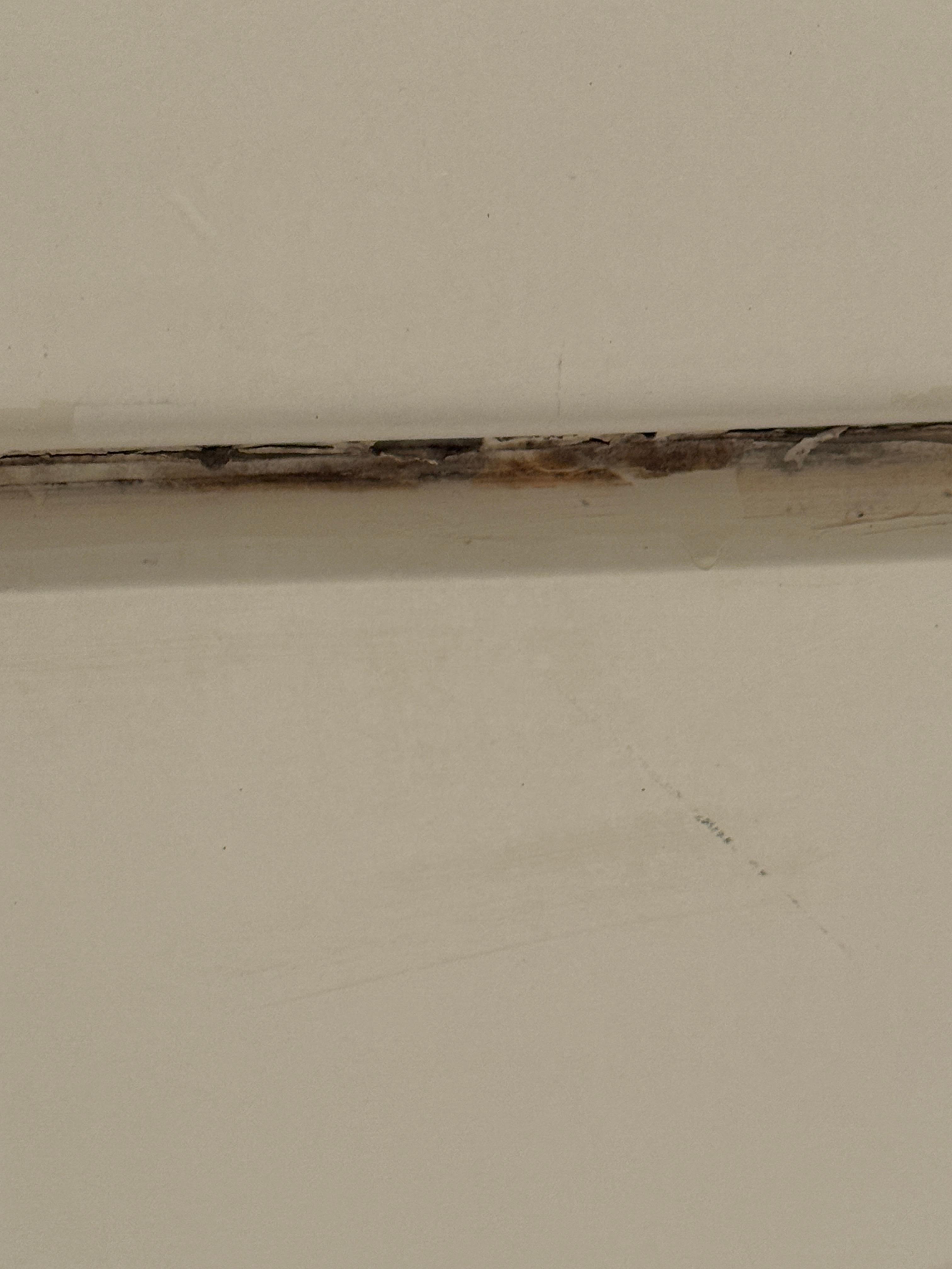 mold on bathtub