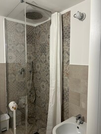 Bathroom shower and bidet