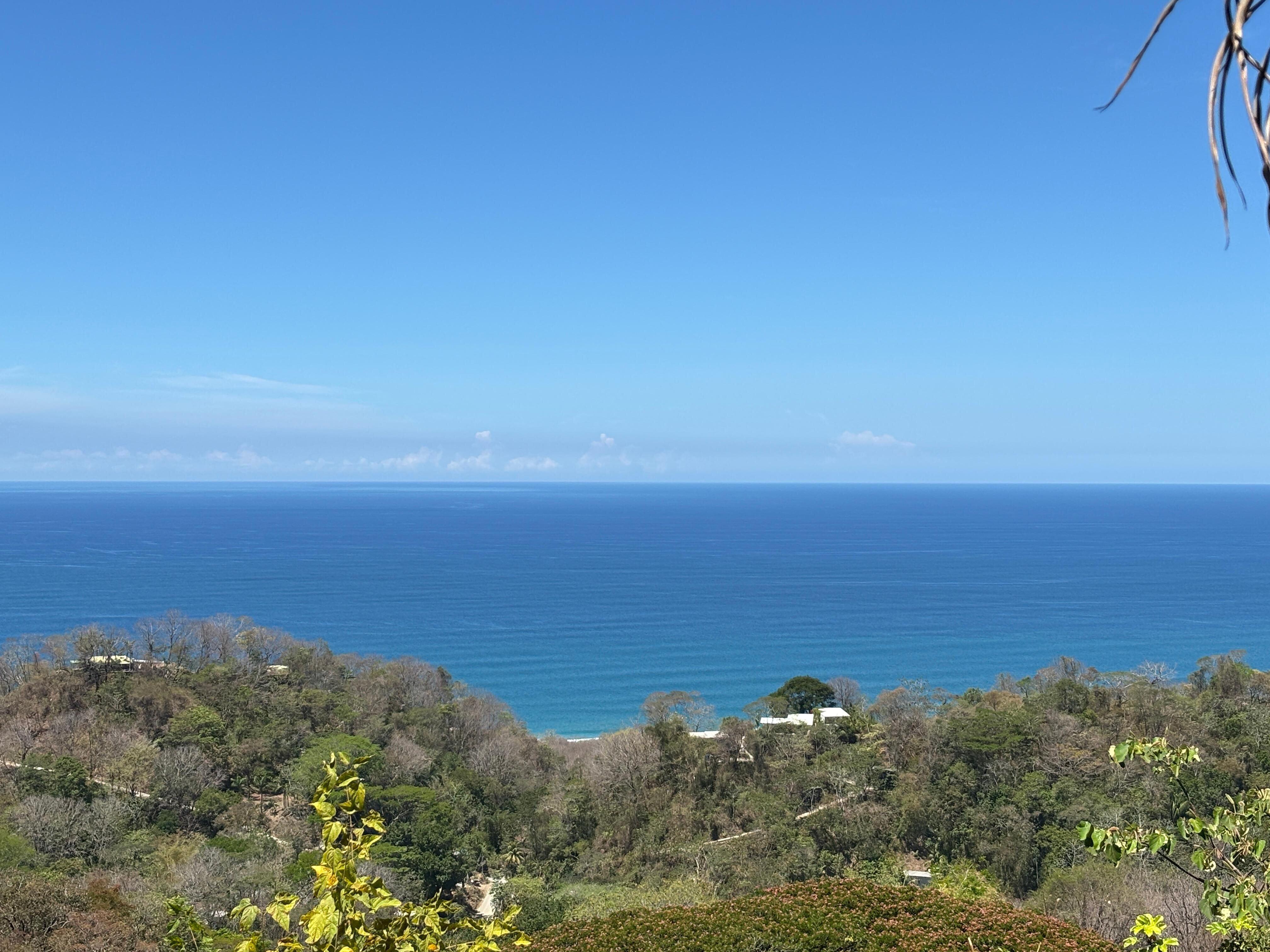 The view