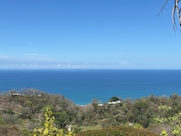 The view