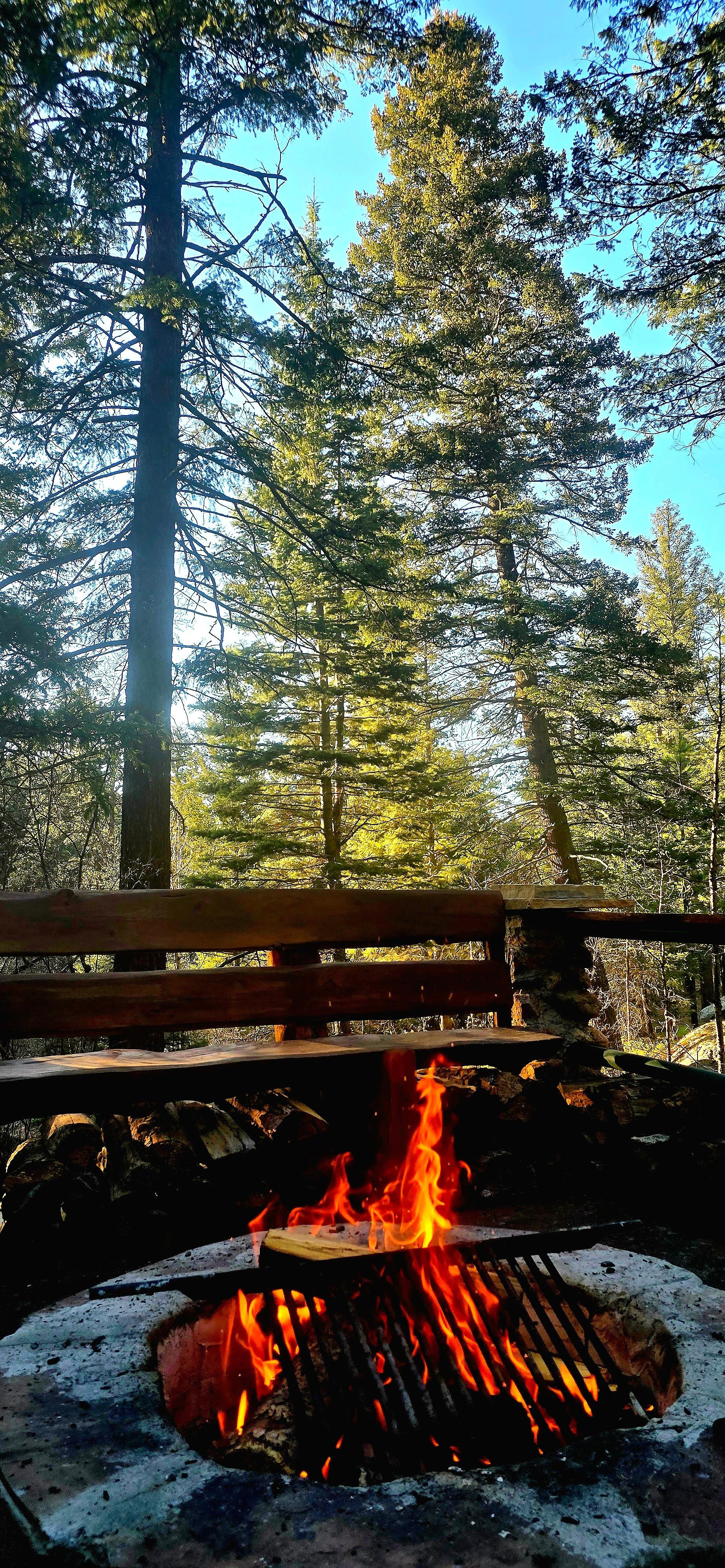 Highlight of the trip. We decided to get groceries and eat at the cabin so we wouldn't have to leave at all.