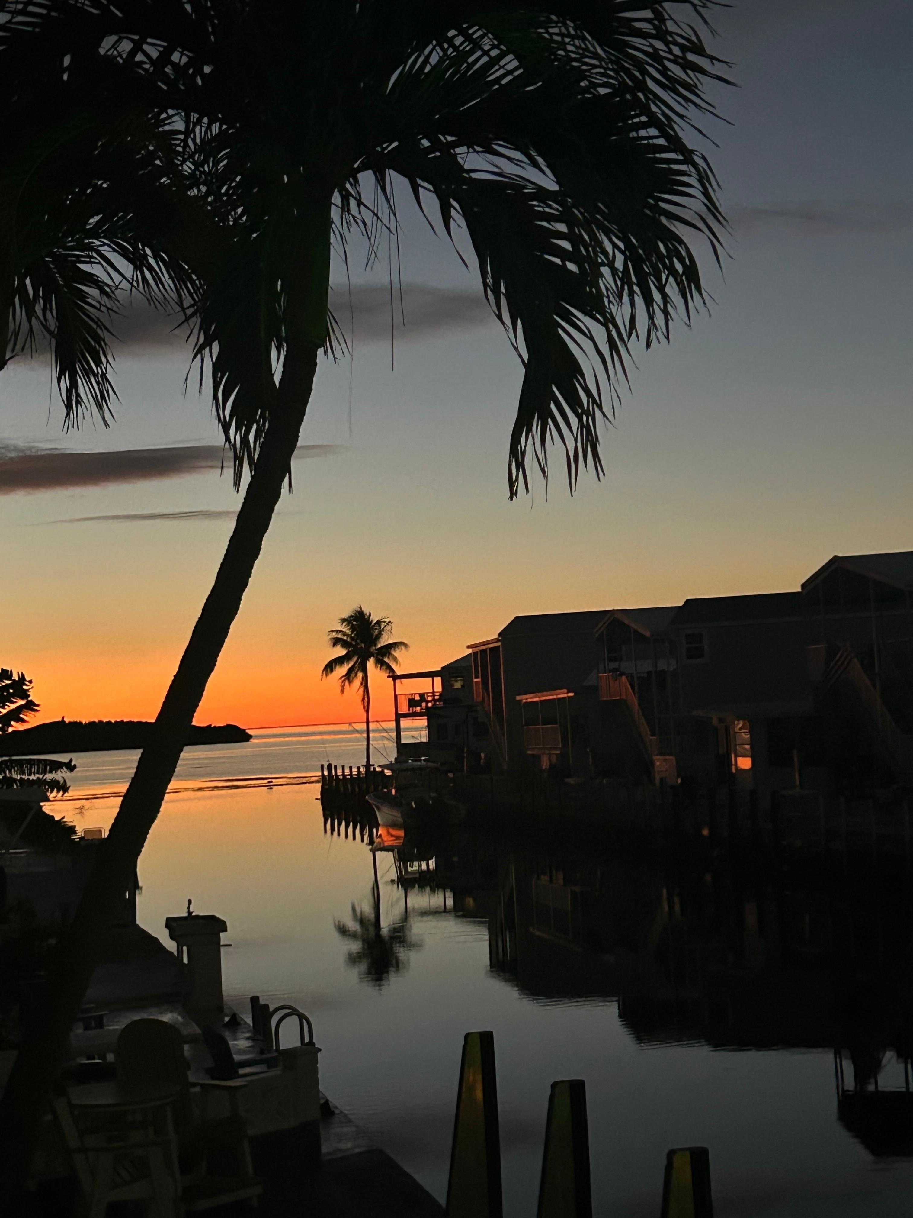 Sunrise off back of house