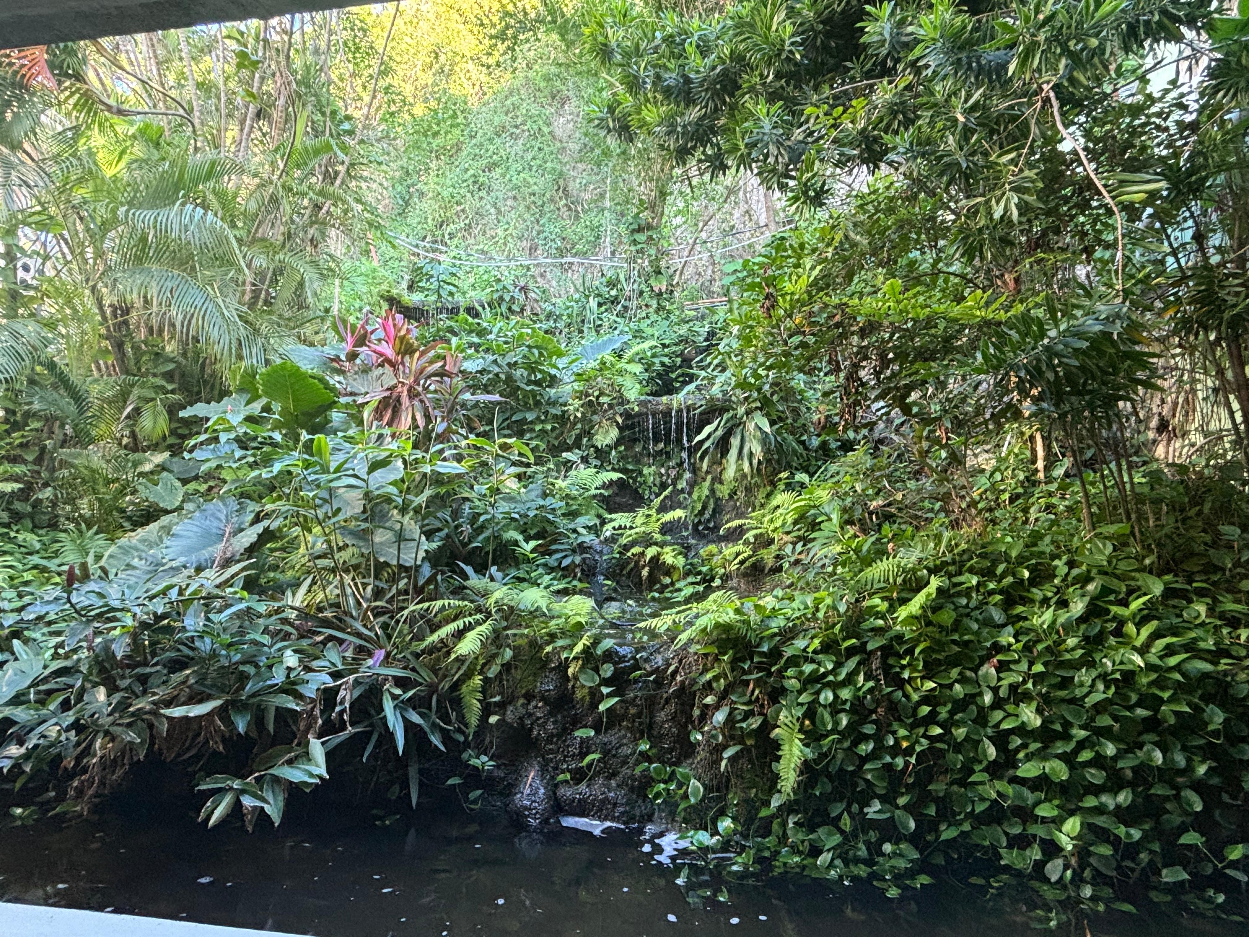 Beautiful Greenery in the Dining Room