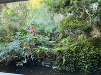 Beautiful Greenery in the Dining Room