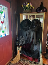 The Witches stayed at the cottage!