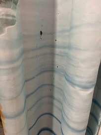 Mold on shower curtain