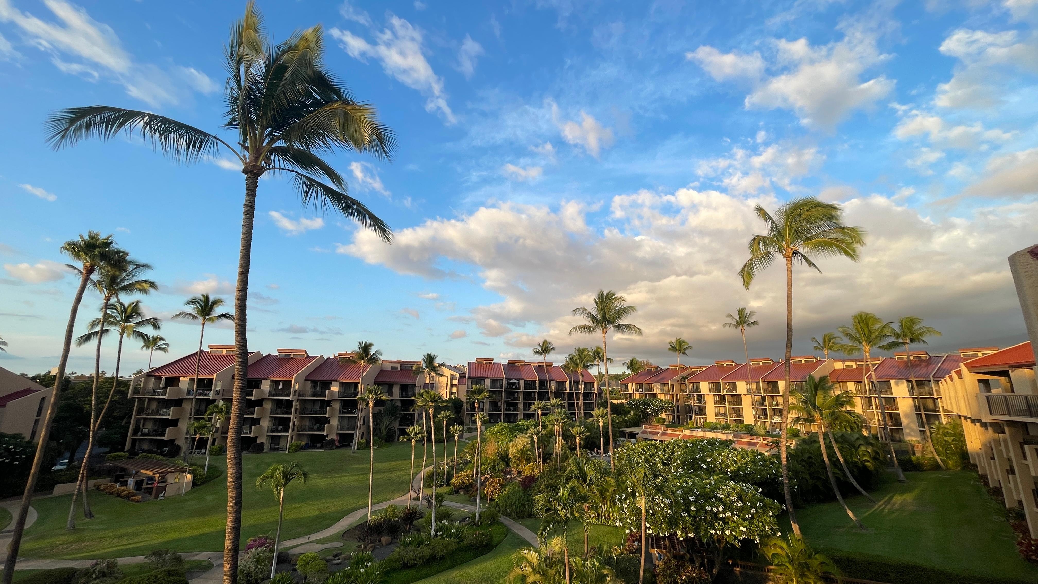 View from lanai 