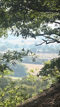 View from the woods across the road.