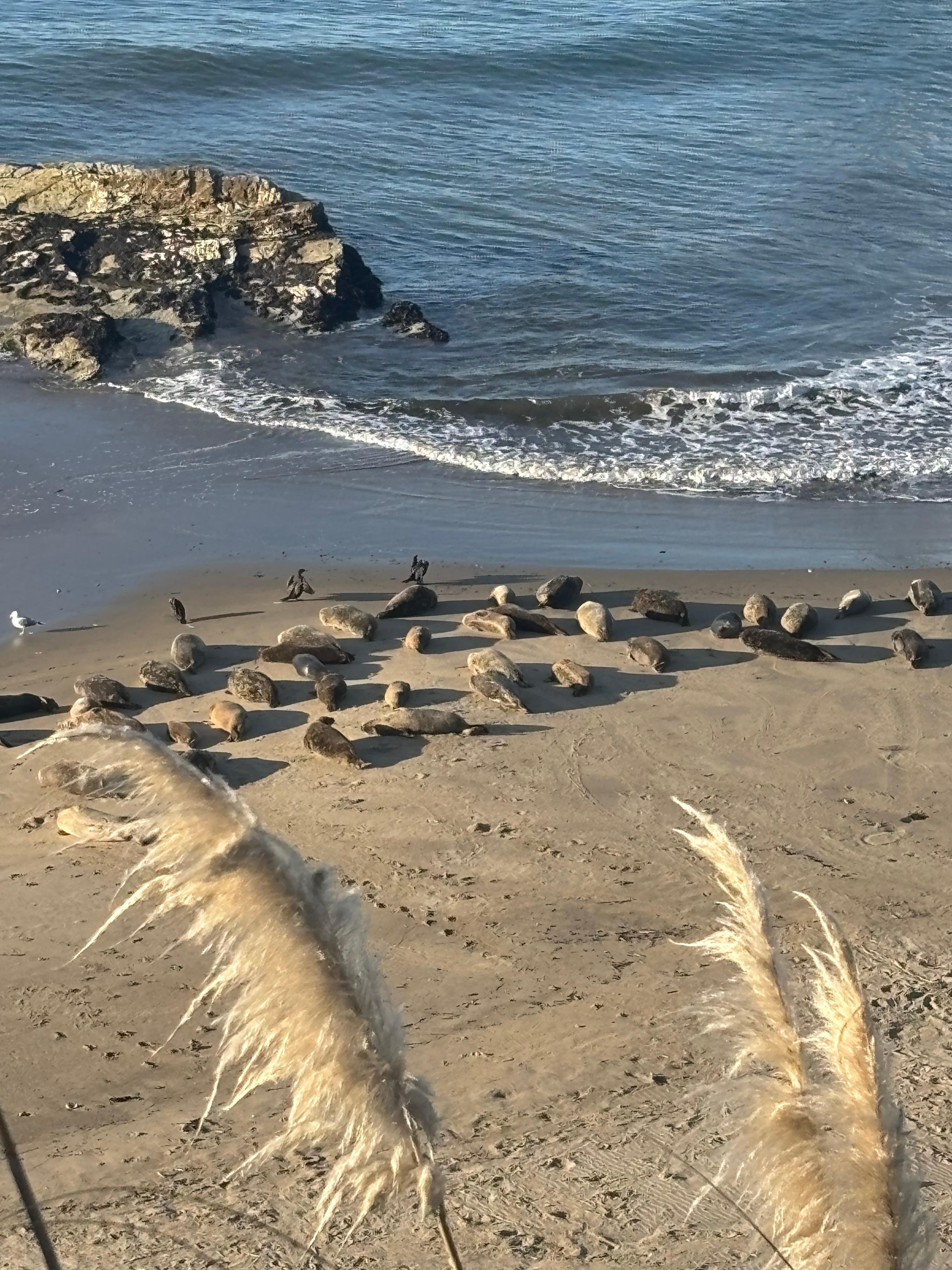 So close to see this 