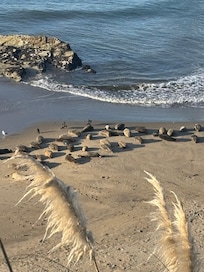 So close to see this