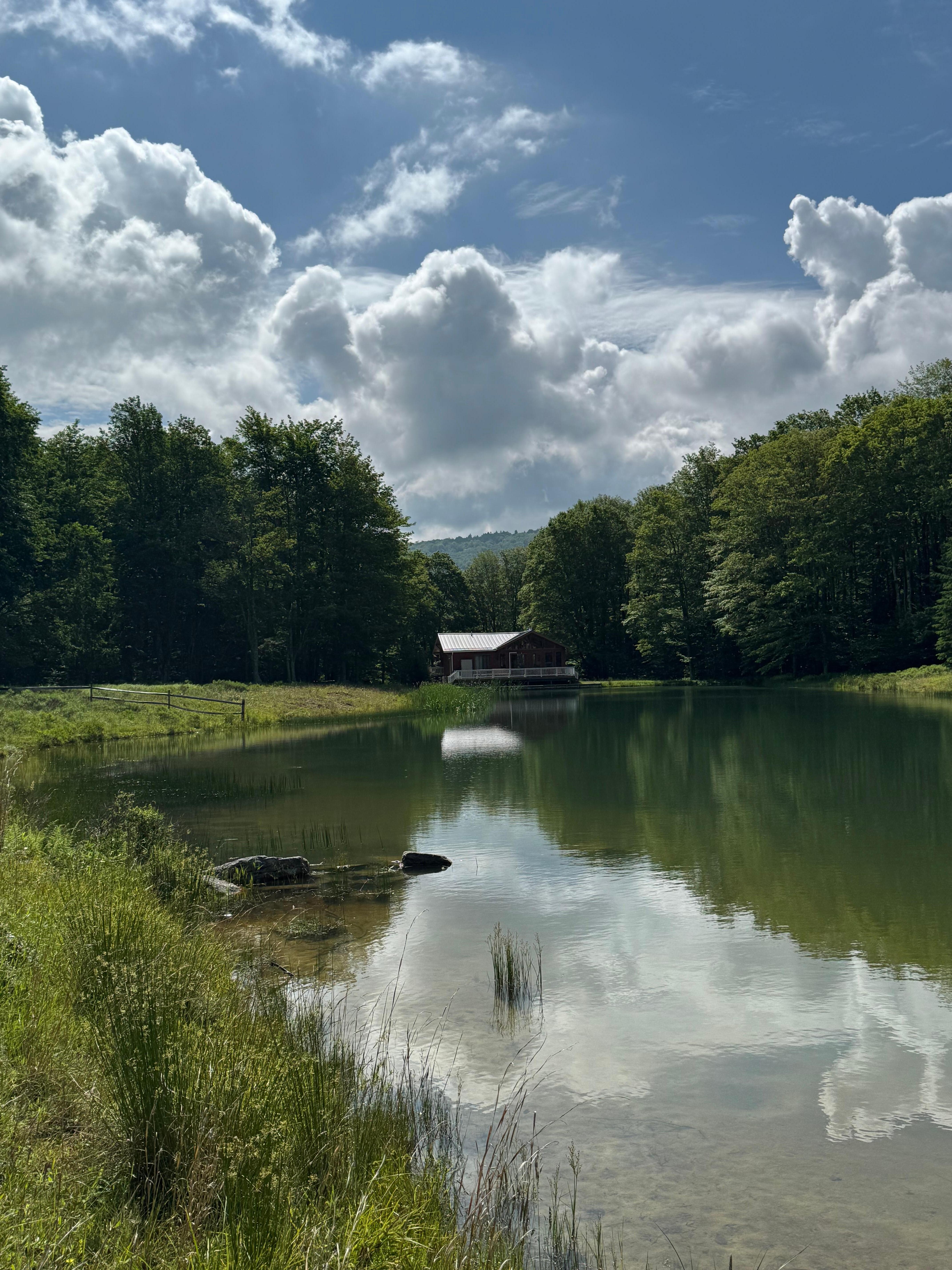 View from the pond. 