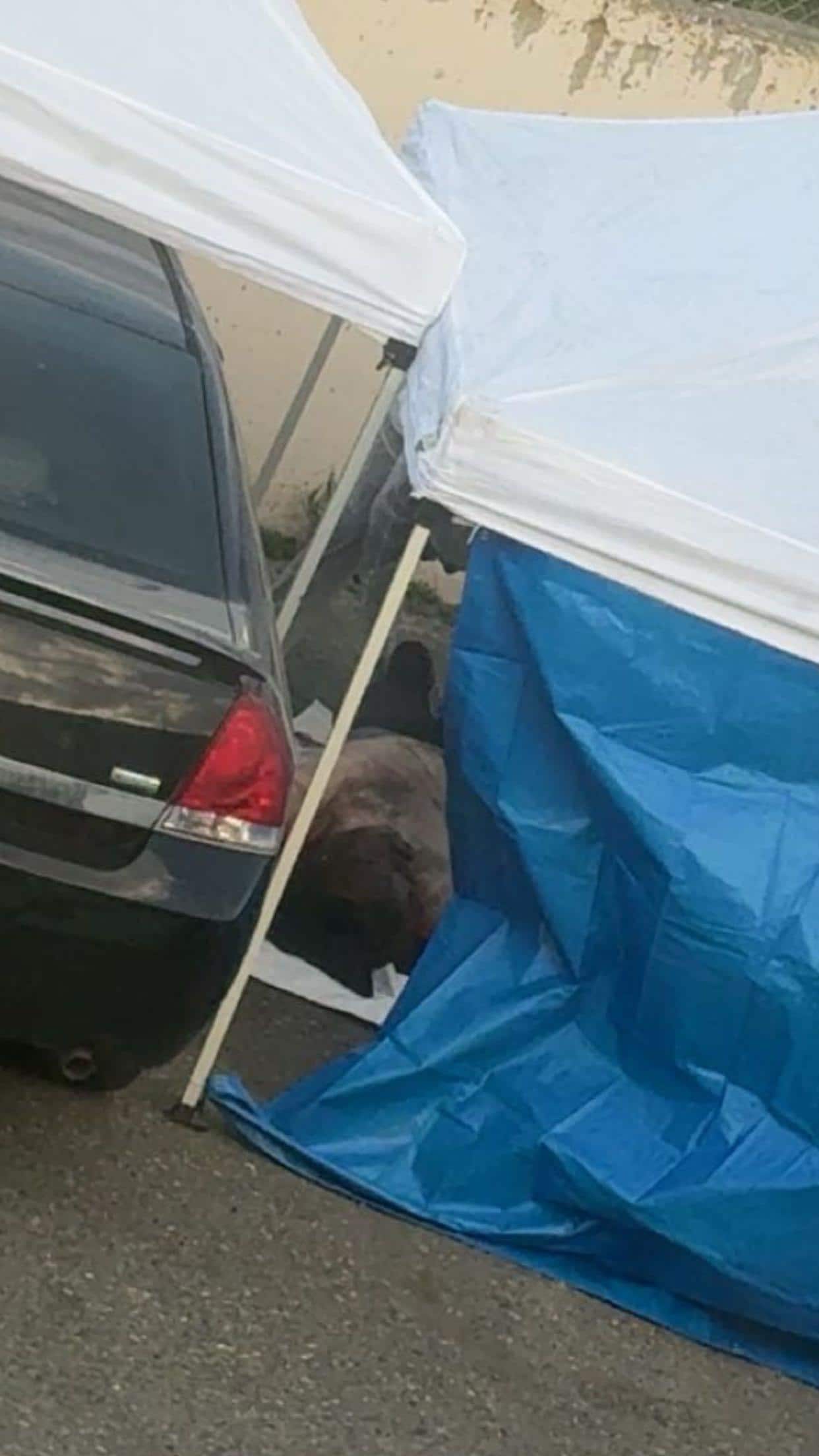 Dead body visible from Kitchette window. 