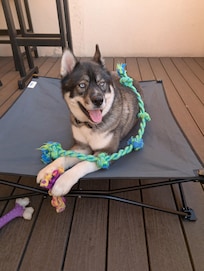 Our Dog River loved it.