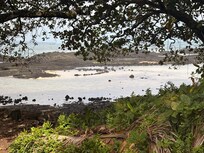 Onekahakaha Beach Park very beautiful big tide pools! We saw lots of whale’s there also.