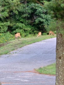 Had several visitors.