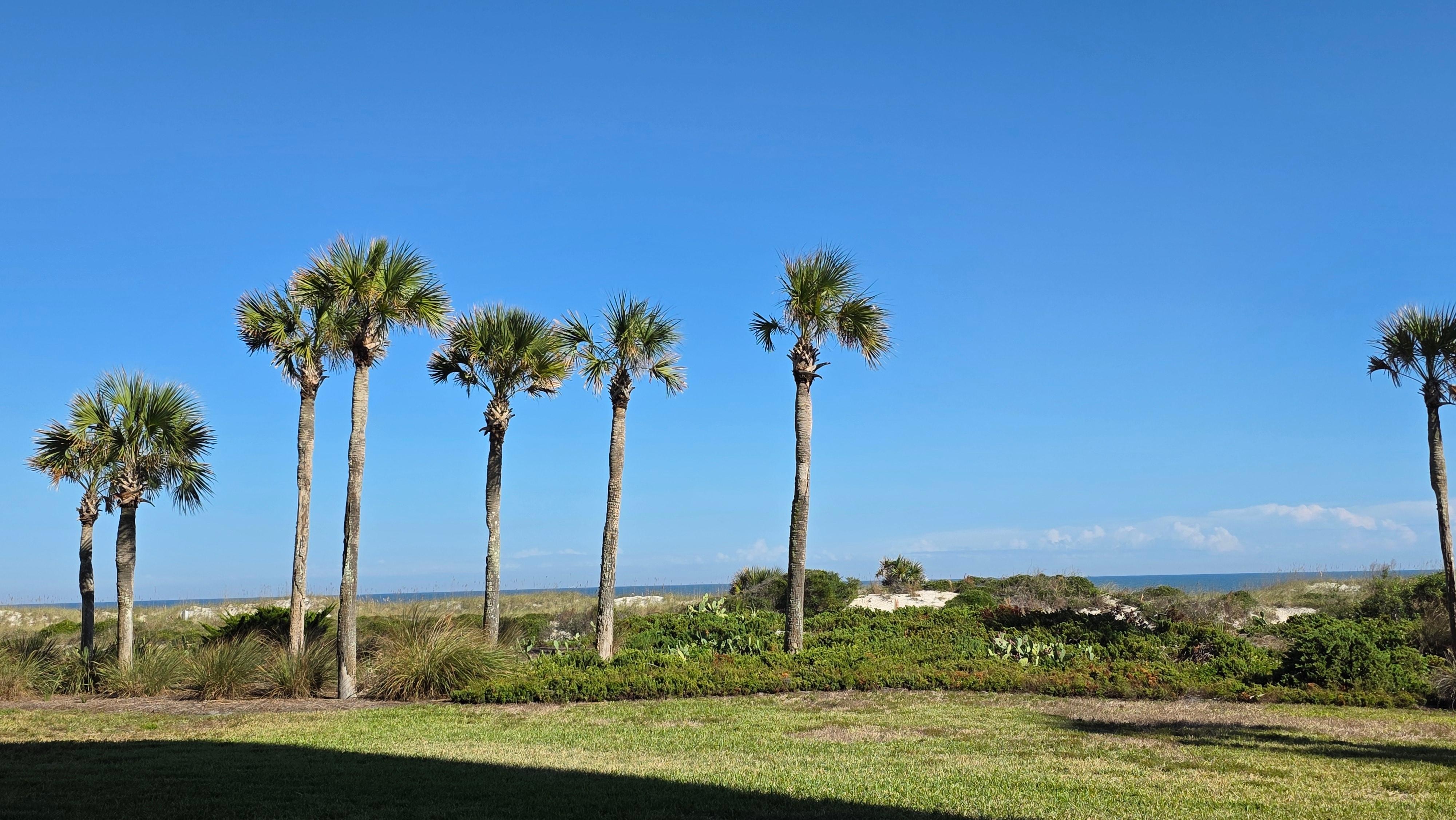 View from the porch. Ocean in the distance.