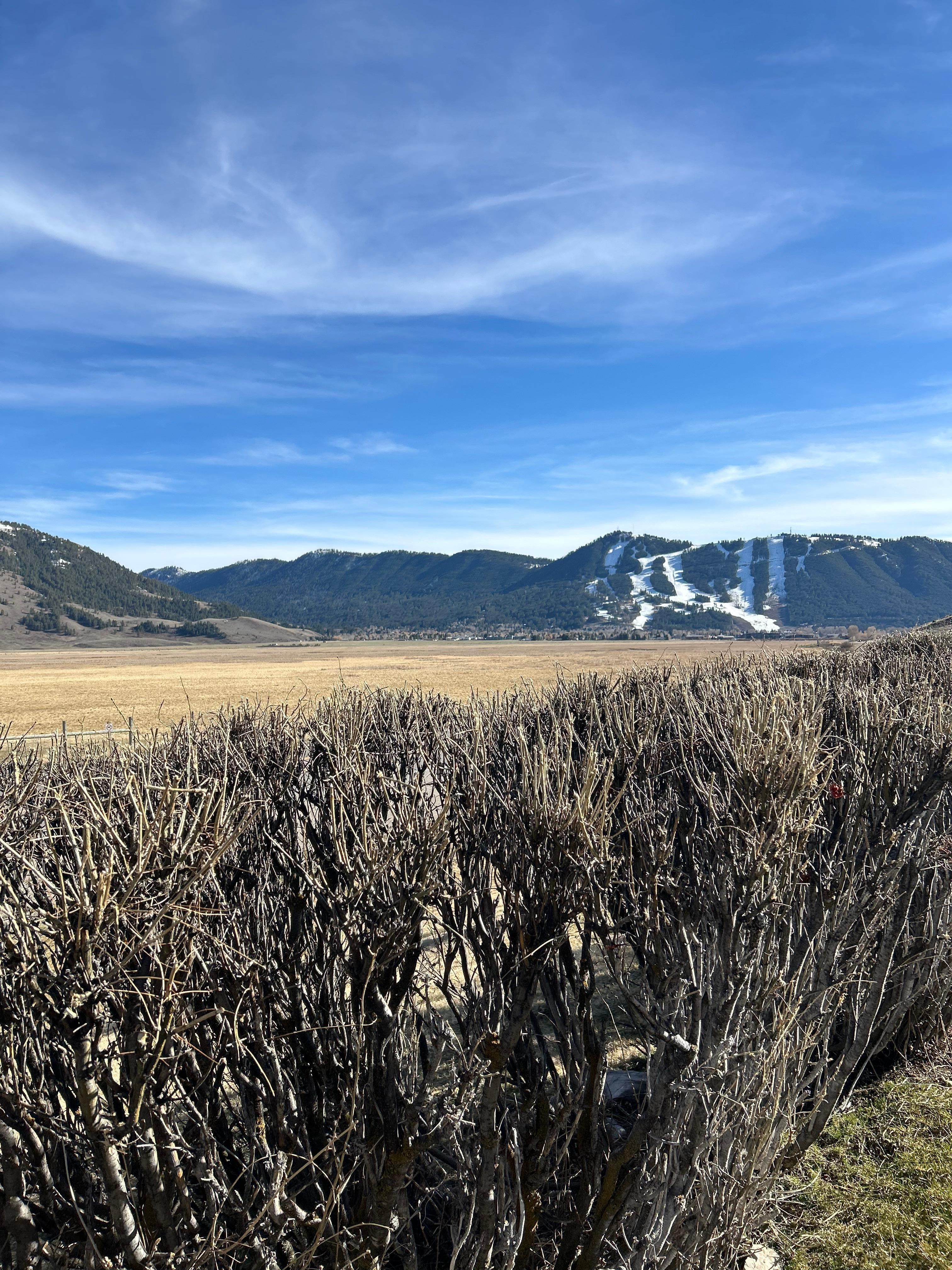 Designed Smoking area