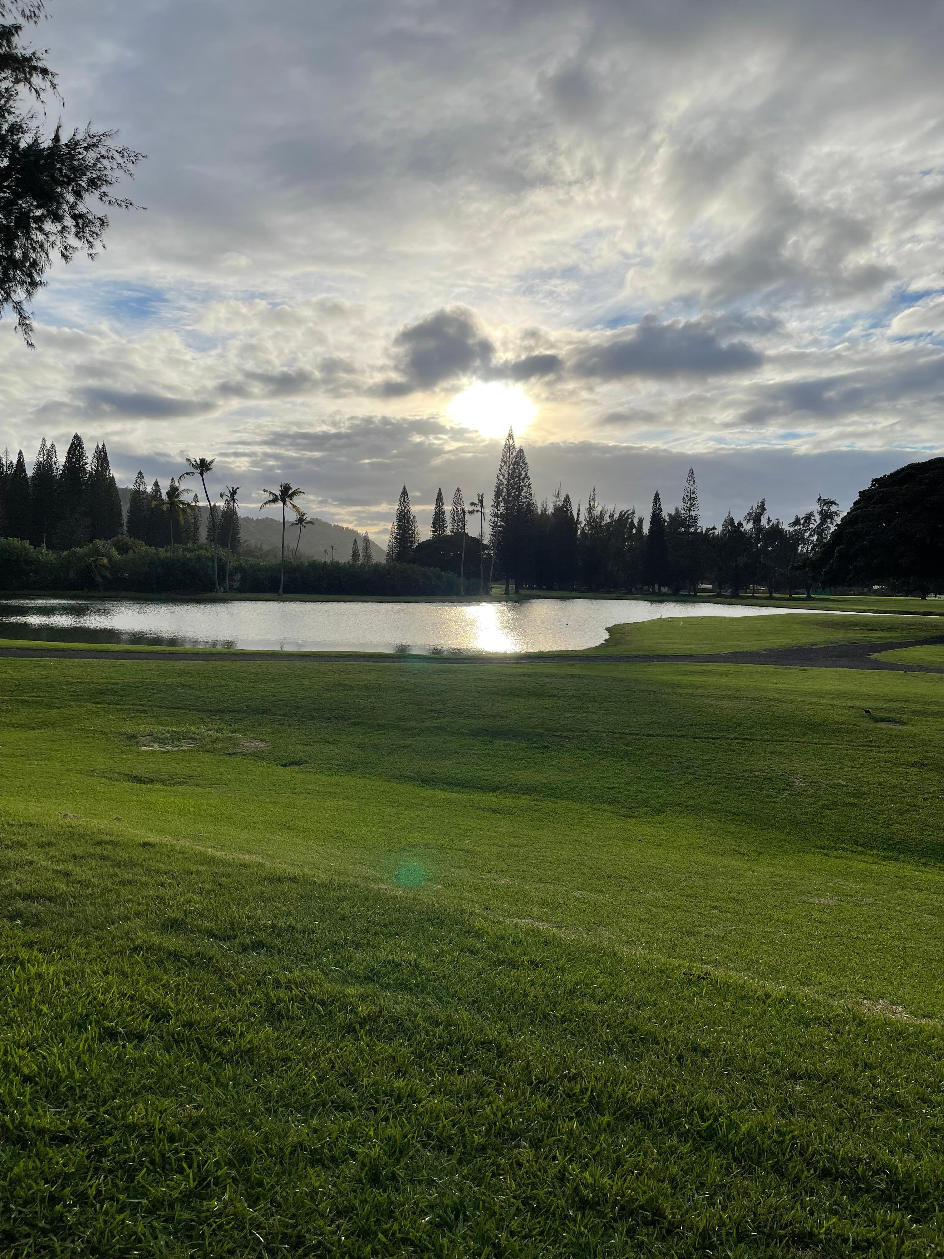 View from the back screened area. 
