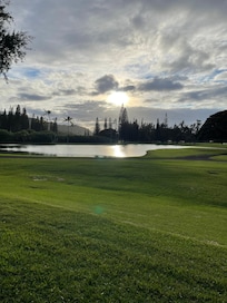 View from the back screened area.