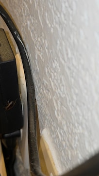 Cockroach running around on the desk (near tv)