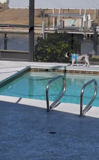 Max doing his morning “walk-about”