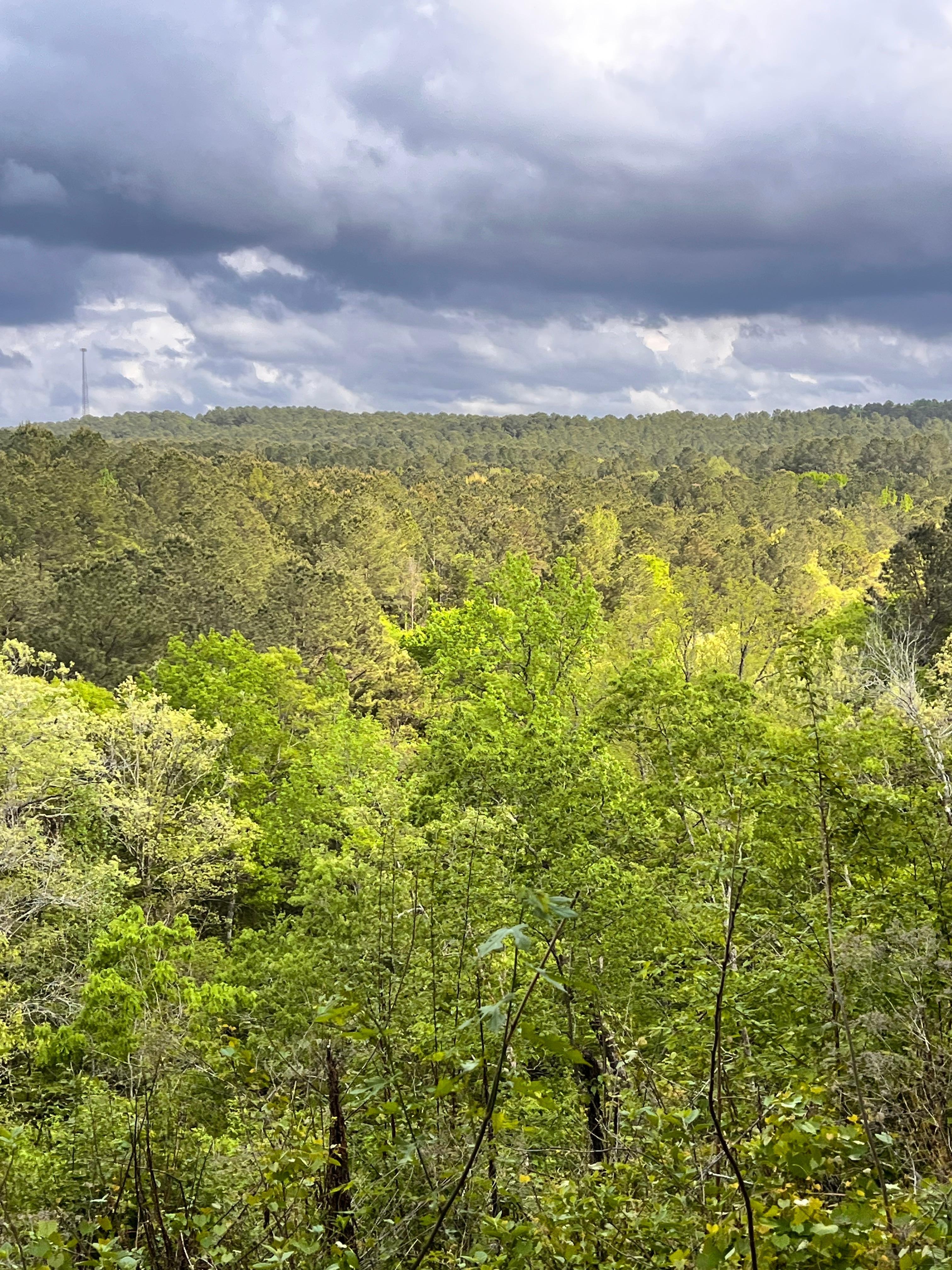 View in the early morning 