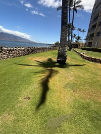 The grounds. The grass was like carpet.