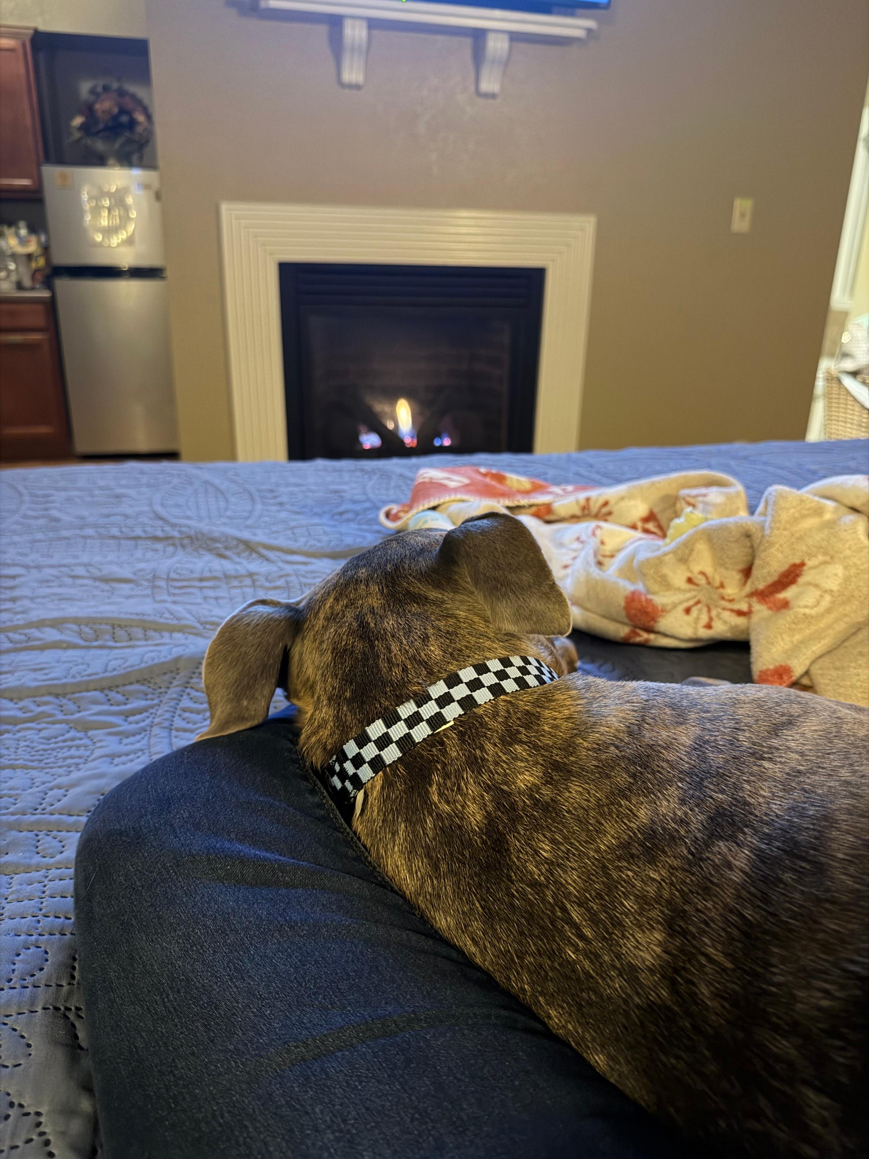 My dog and I loved the fireplace at the end of the day!!