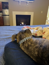 My dog and I loved the fireplace at the end of the day!!