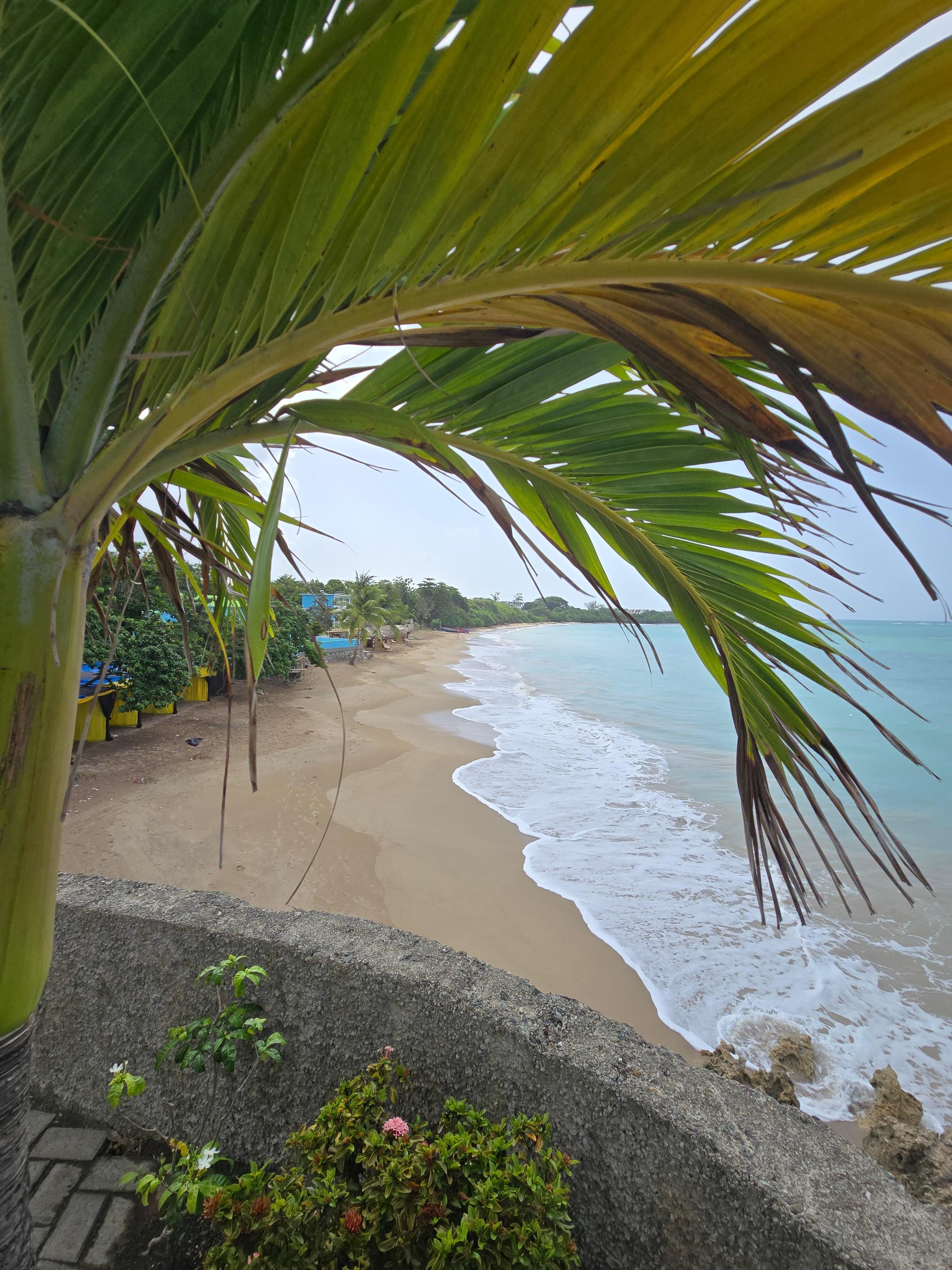 View from bar terrace