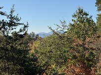 The misty morning mountains from the back porch October 2025