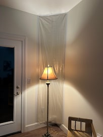 Plastic covering black mold in Master Bedroom