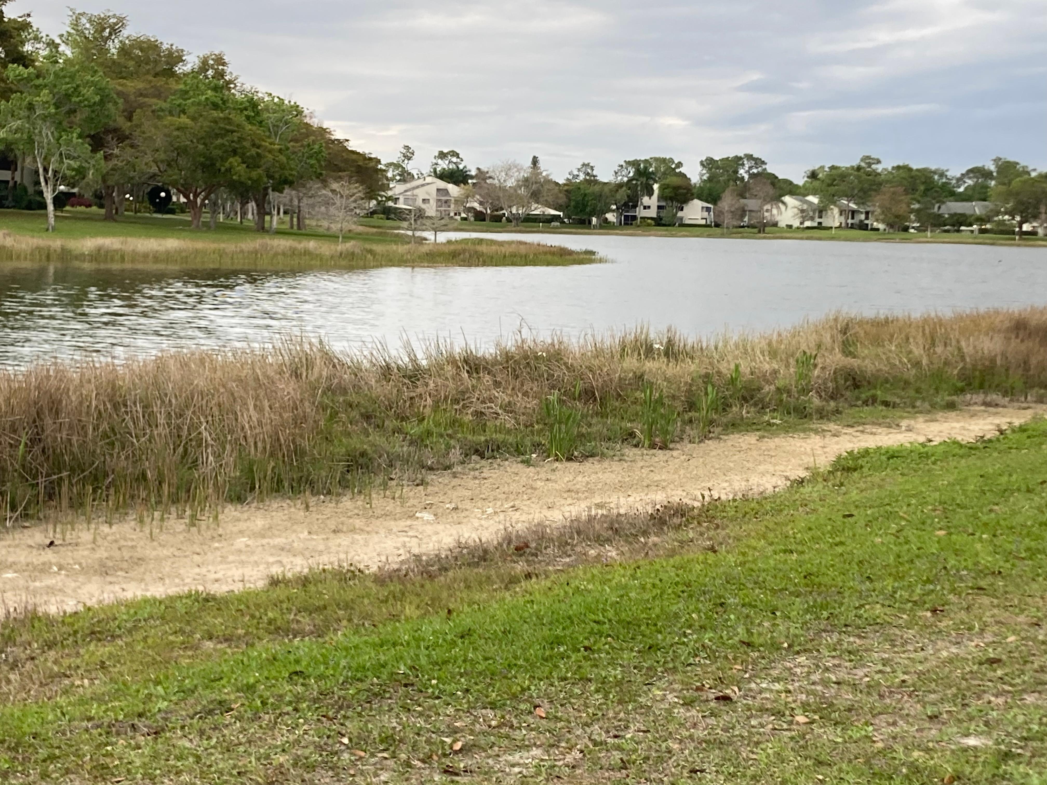 Small lake that we enjoyed walking around. Very close to our place. 