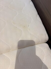 stains and hair