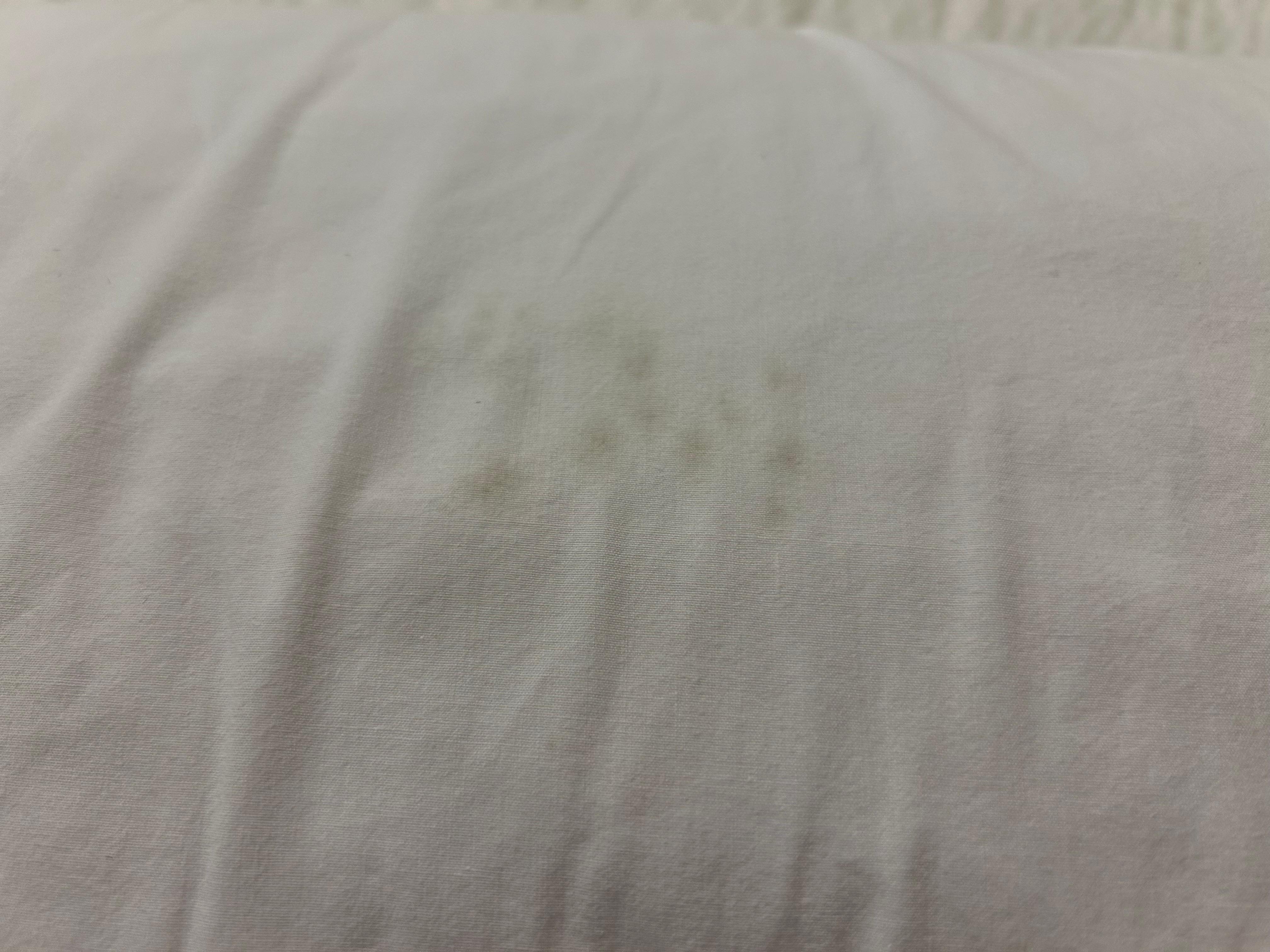 Bugs in the pillow!! ugh!!