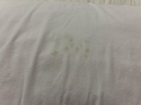 Bugs in the pillow!! ugh!!