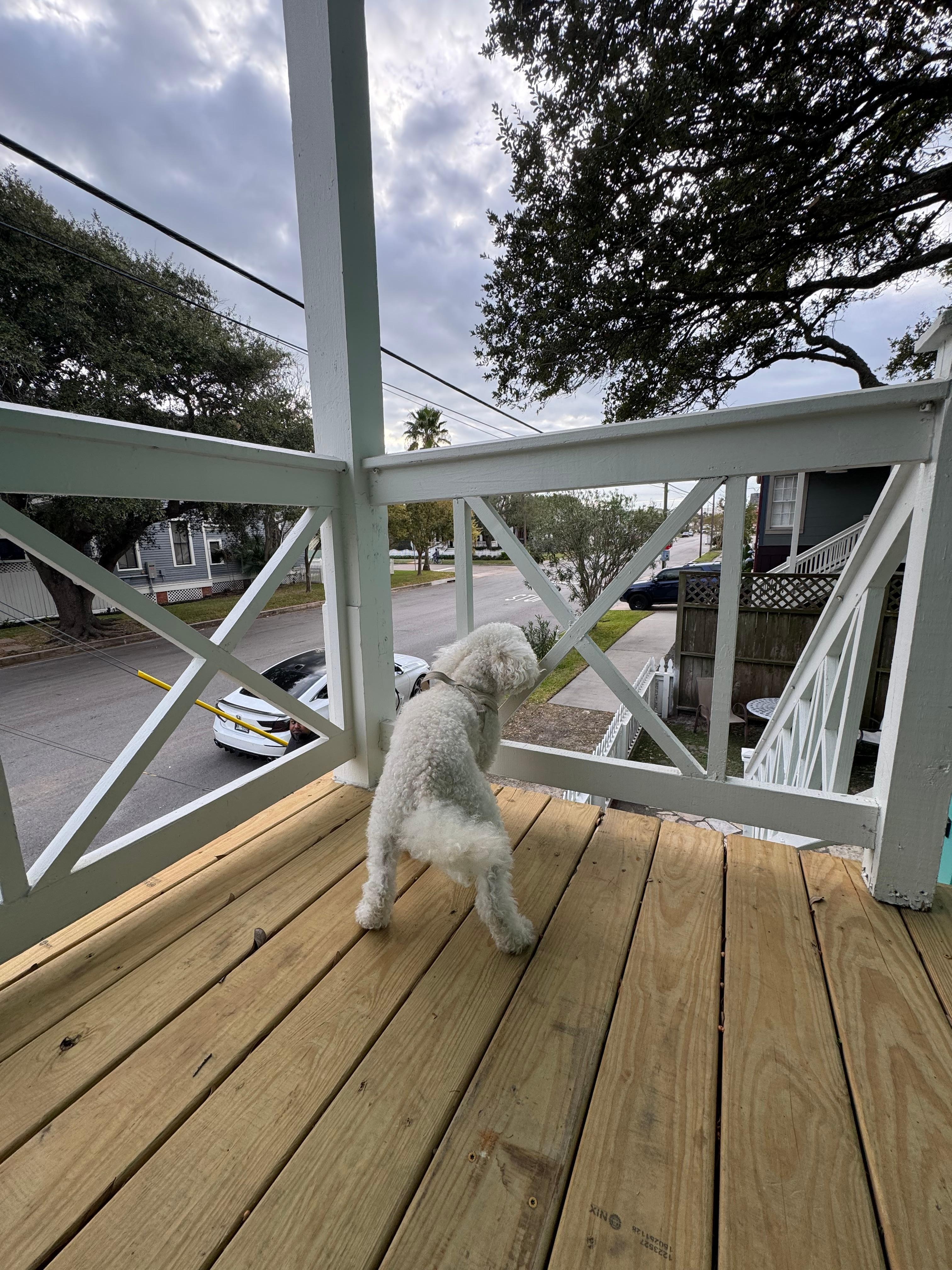 Our view from the door