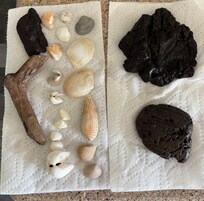 Beach finds