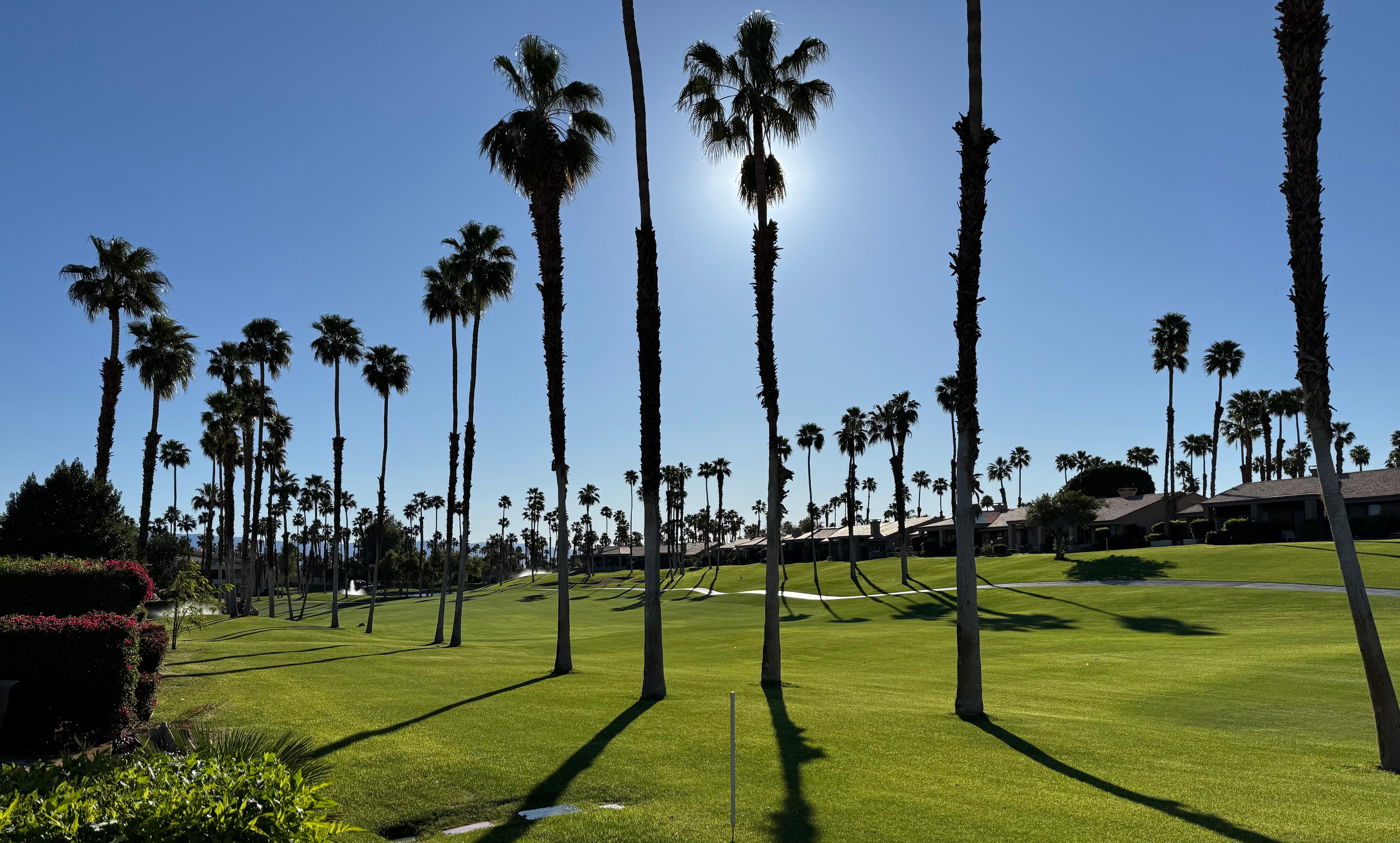 Mornings on the deck….