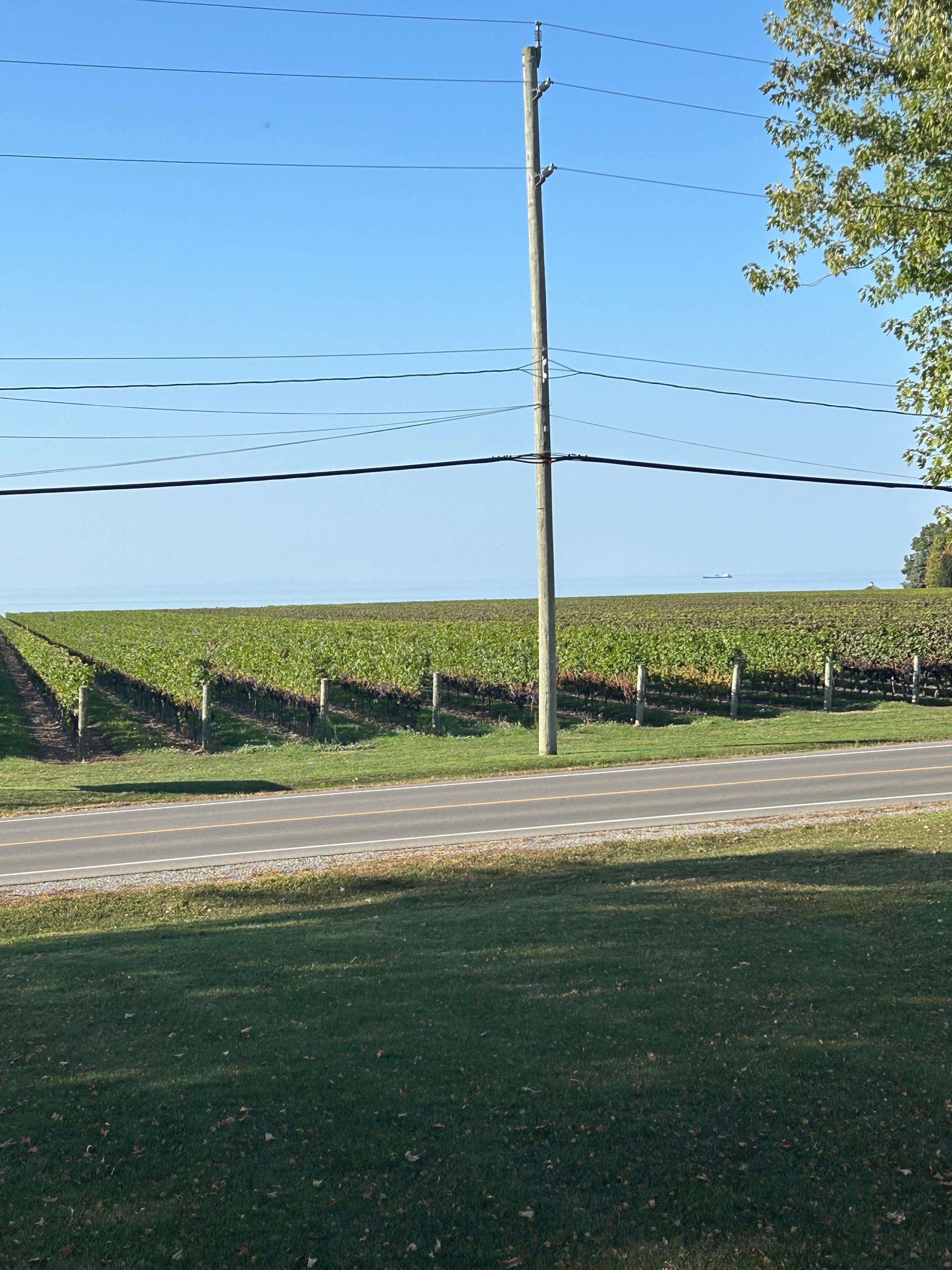 View from the front door. 