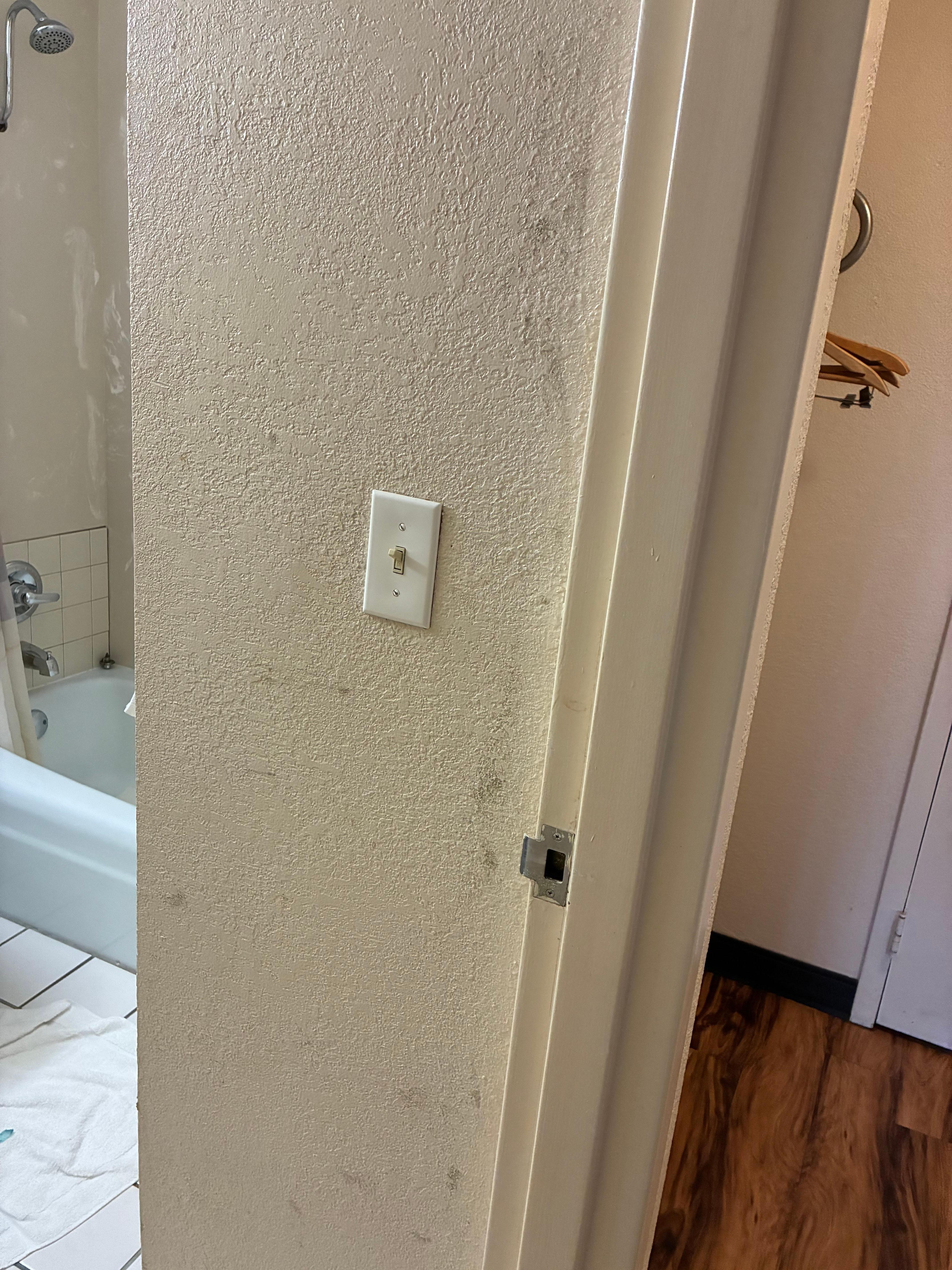 Mold and mildew on the bathroom walls