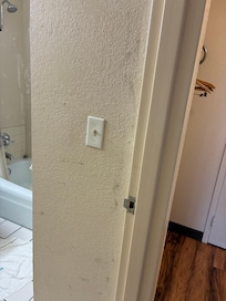 Mold and mildew on the bathroom walls