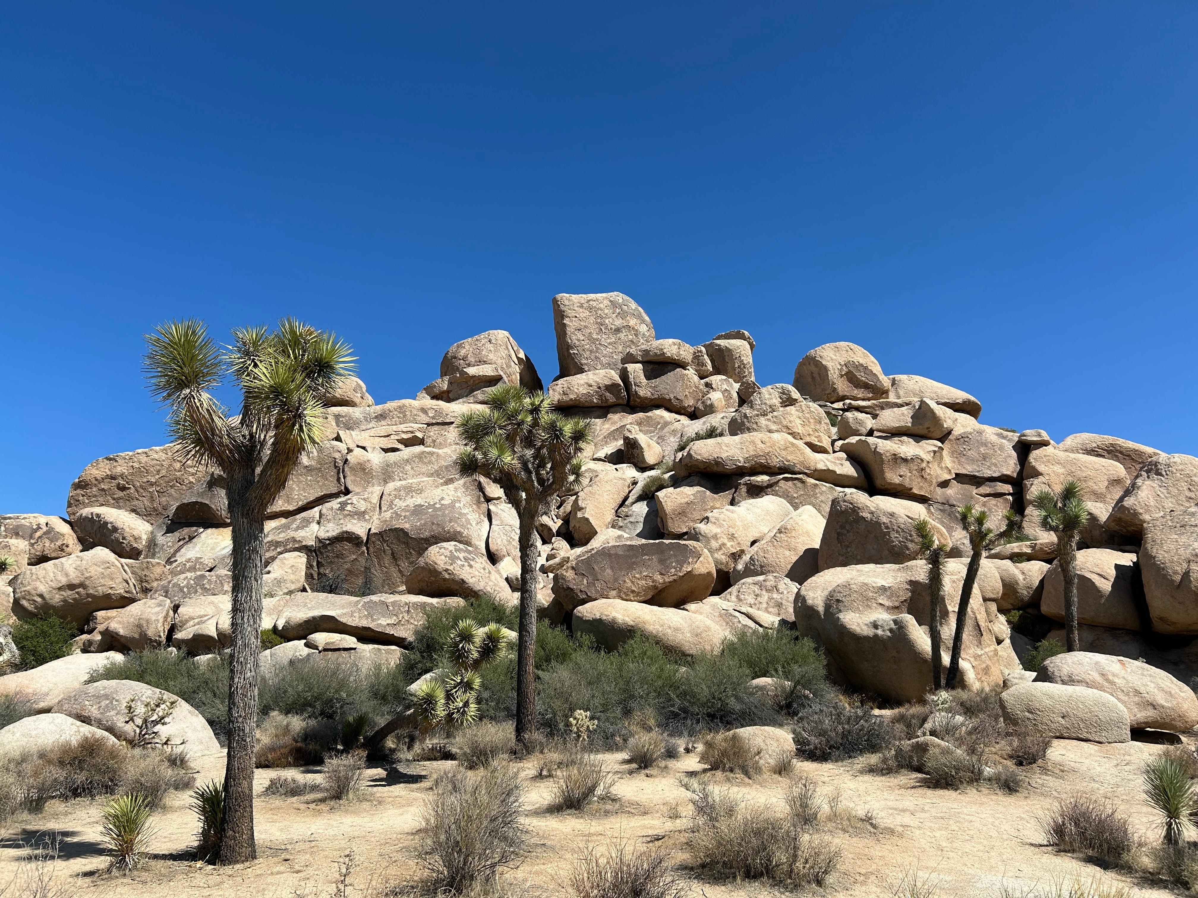Joshua Tree National Park easily accessed from the home.