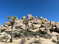 Joshua Tree National Park easily accessed from the home.