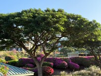 Grounds were colorful