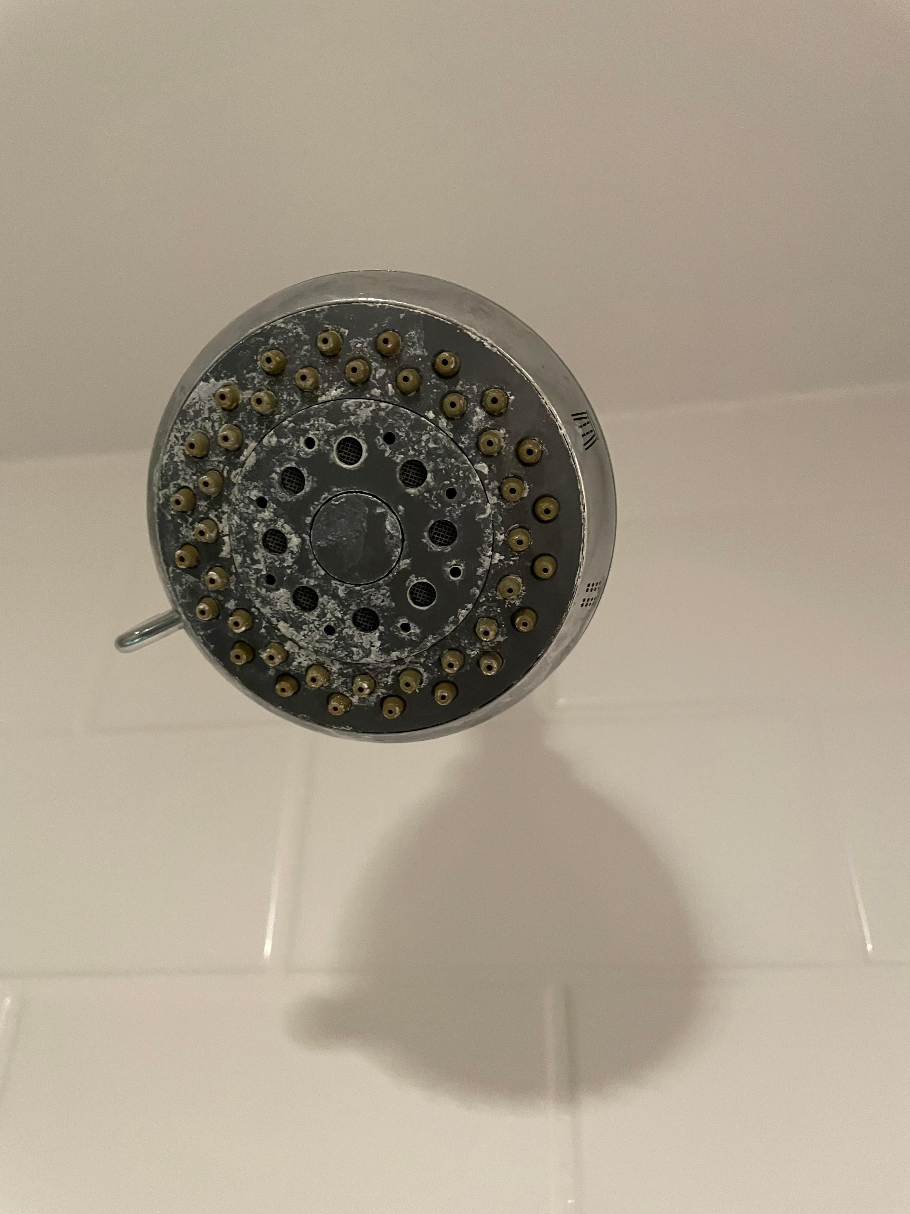 Dirty shower head 